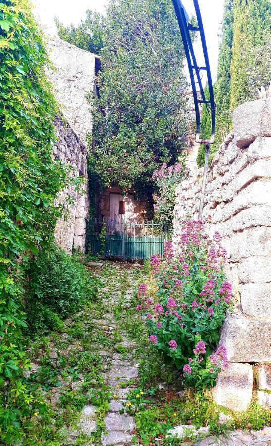 Adhemar, L'escalier Medieval Appartement La Garde-Adhémar